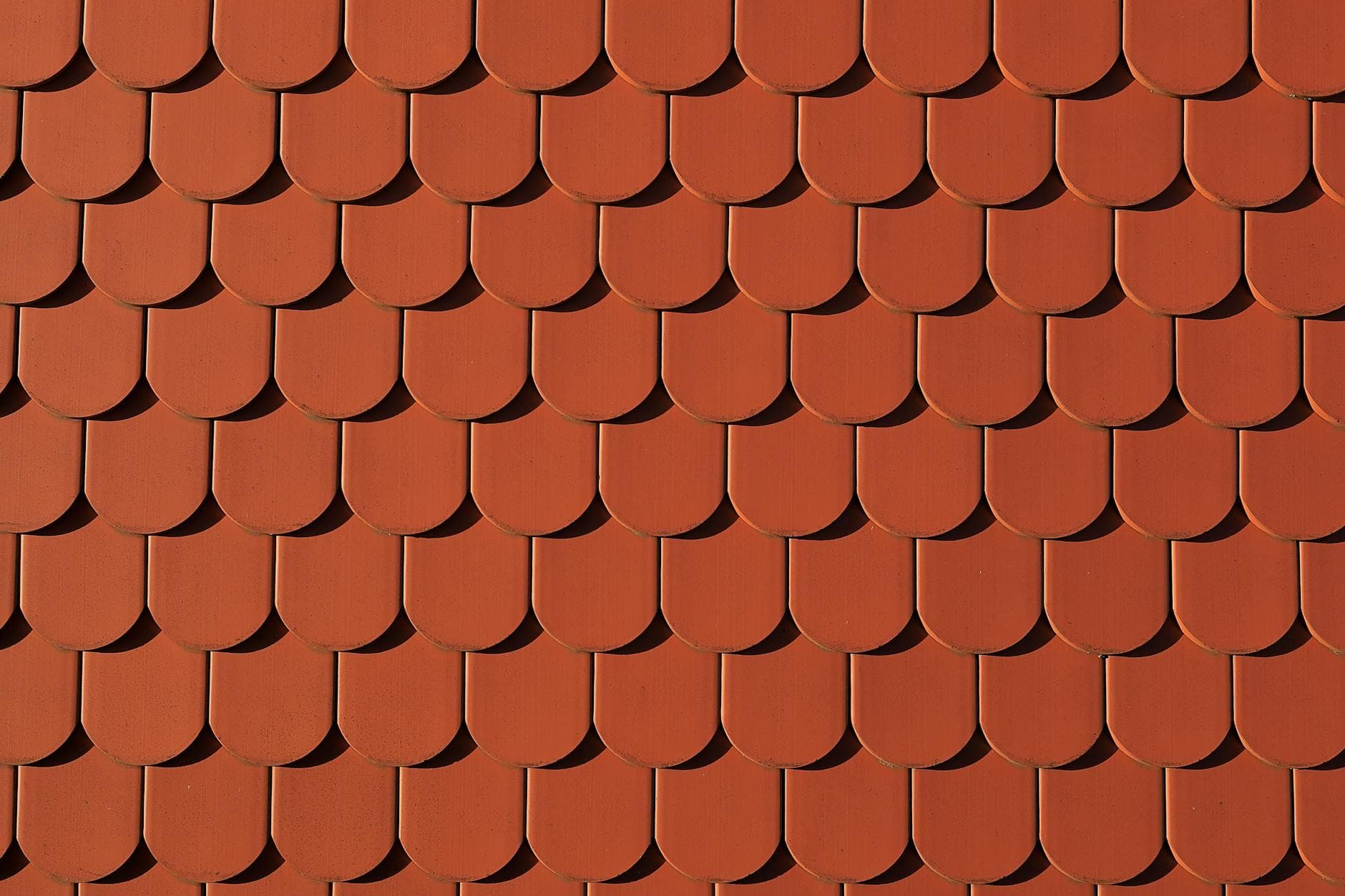 Common Roof Damage Signs