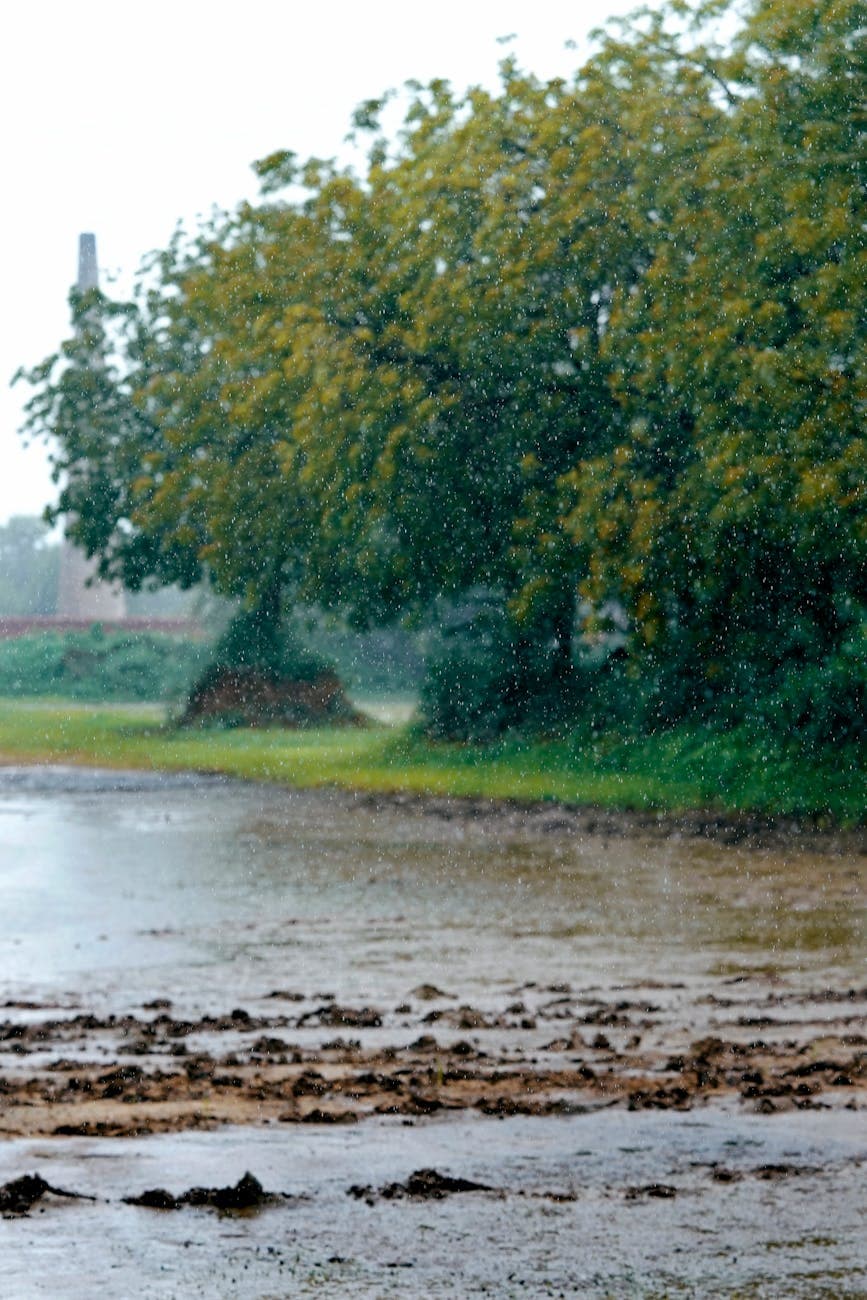 How to Prepare Your Home for Heavy Rain