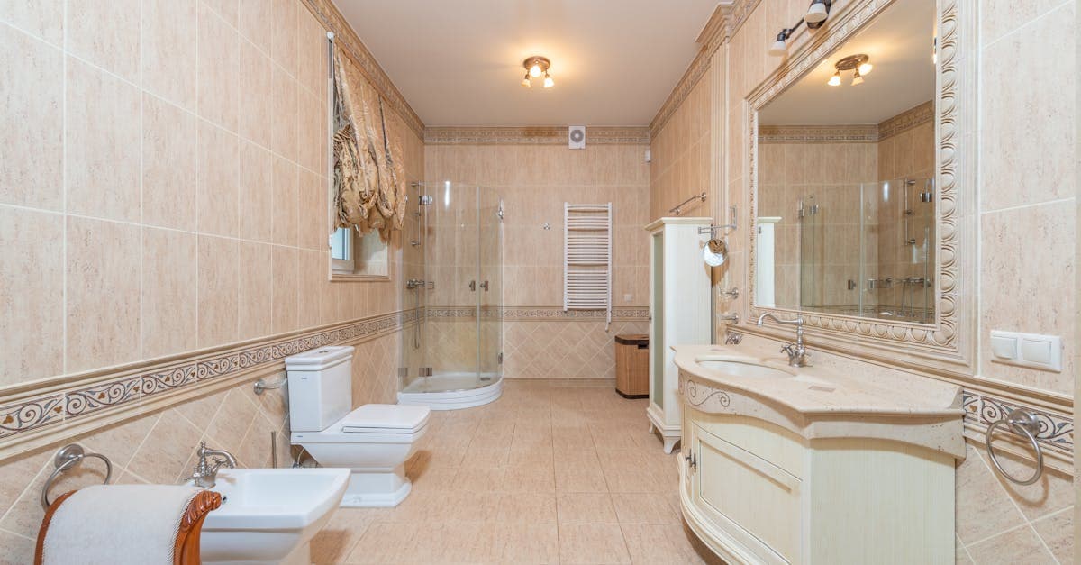 Mold vs. Mildew Health Risks What's the Difference and When to Act