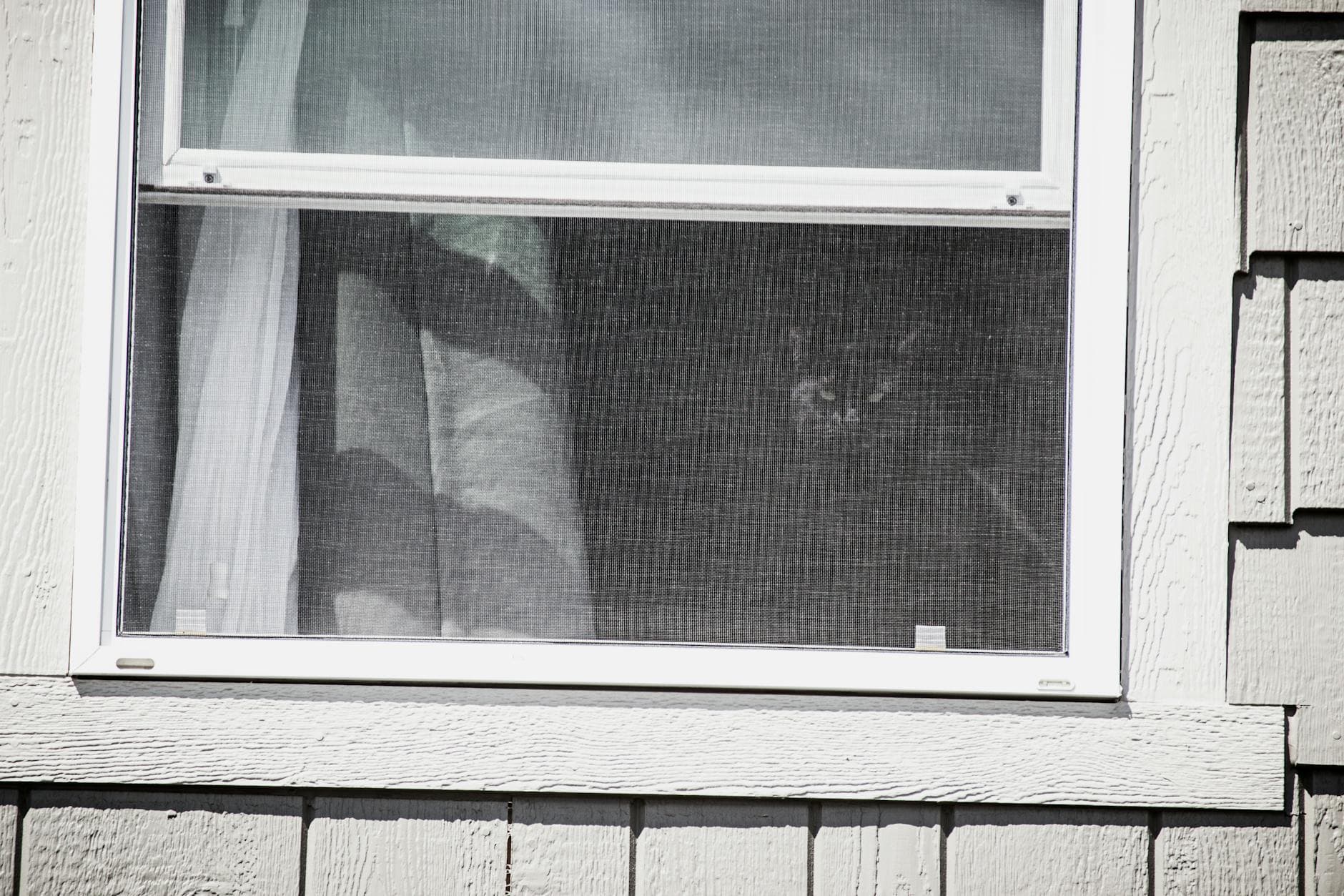 How to Repair Window Screens